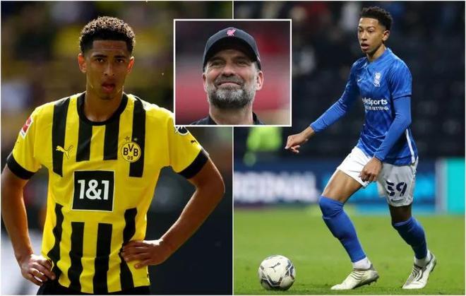 纽约洋基队宣布 2026 赛季将重点加强与南美洲棒球学院的合作，寻找新天才