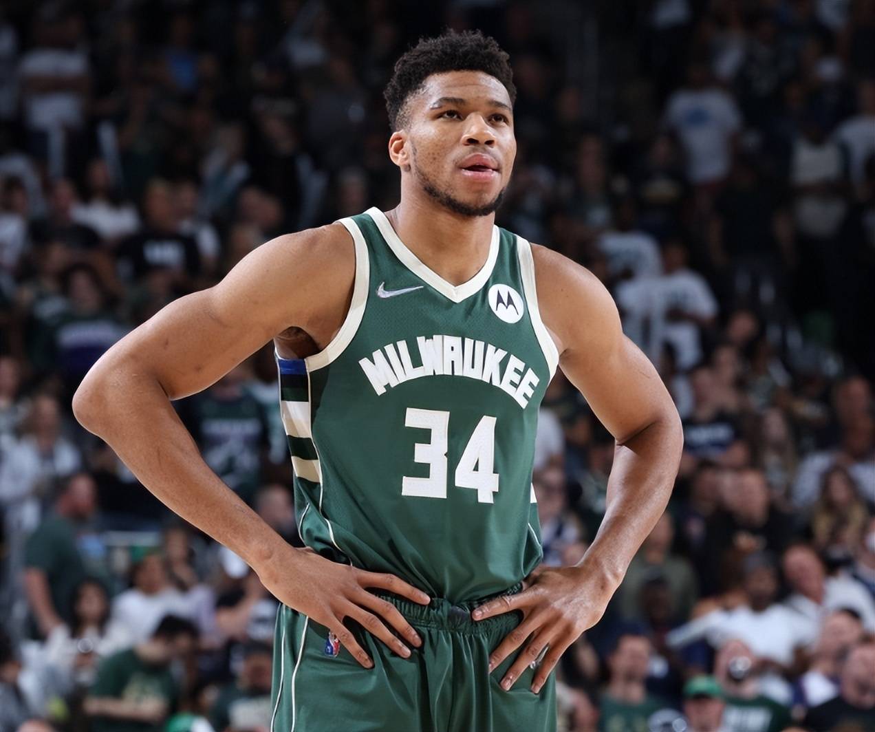 炉石传说职业选手卡组选择解析